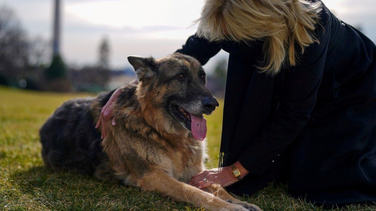 È morto Champ, il cane di Joe Biden