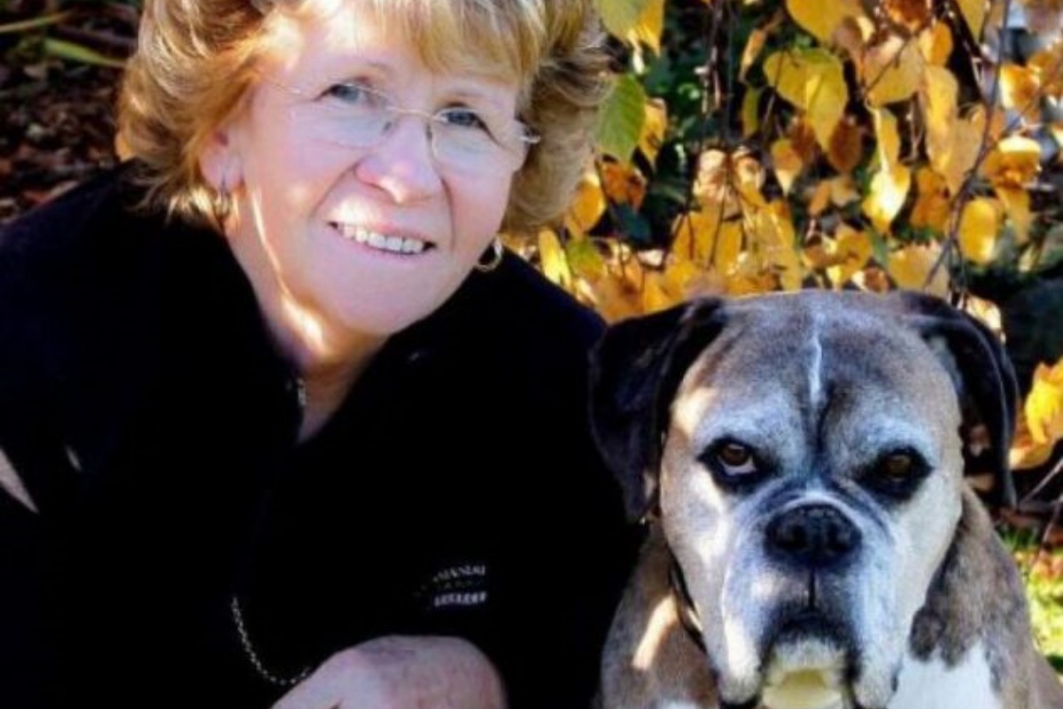 La fondazione dedicata ad Hannah dedicata a tutti i cani orfani