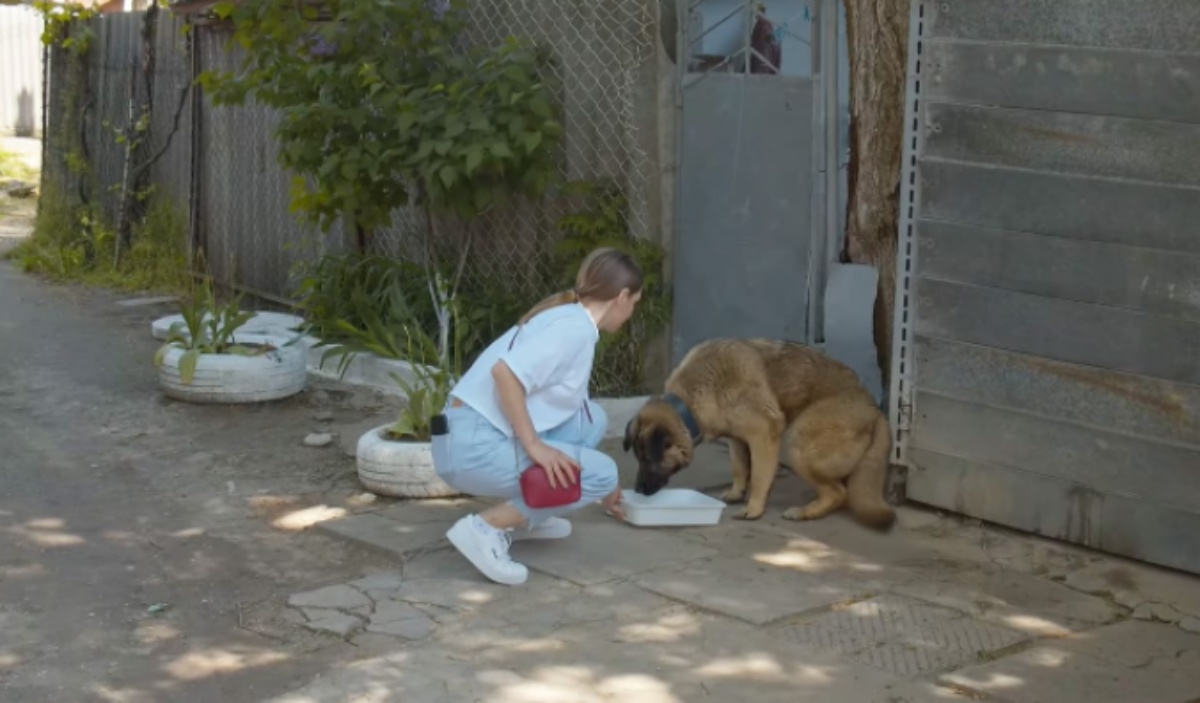 L'abbandono del cane Leo