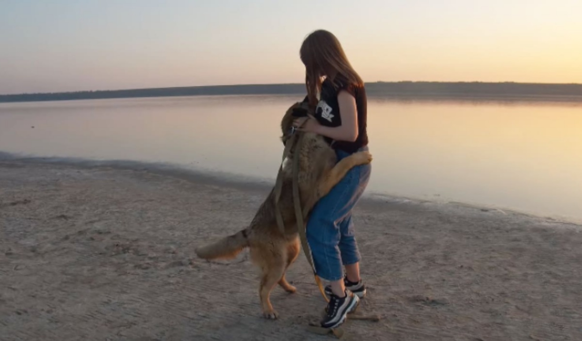 L'abbandono del cane Leo