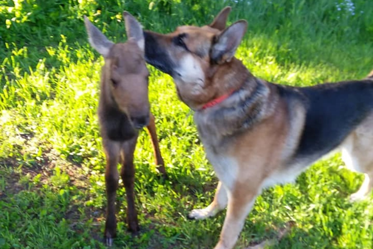 L'amicizia tra Maggie e Leo