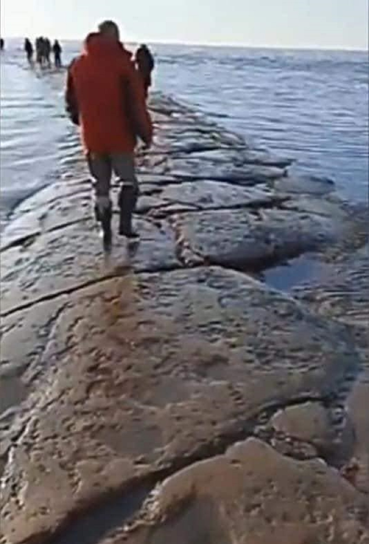 sentieri nell'oceano pacifico