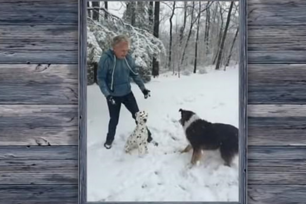 Pat Sajak annuncia la morte della sua Stella