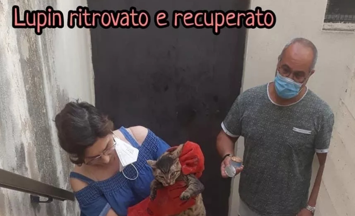 Salvato il gatto Peppino