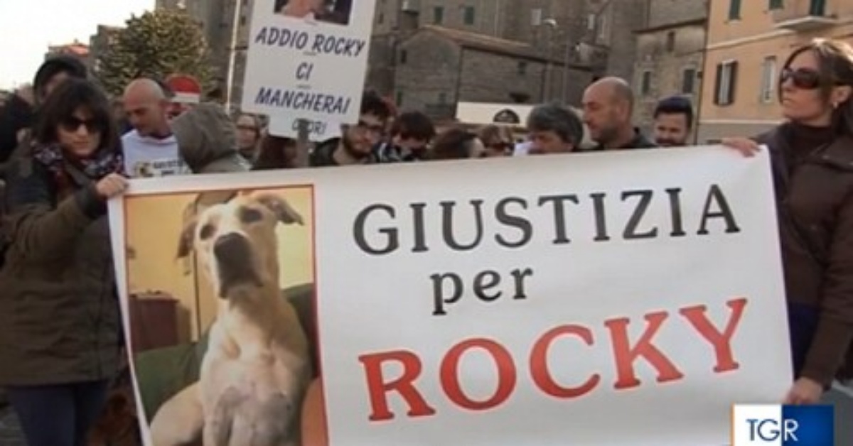 Giustizia per il cane Rocky