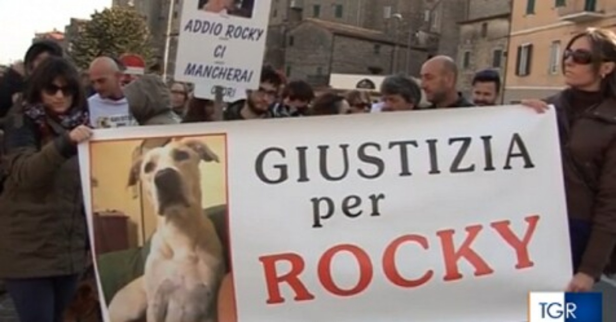 Cinque persone condannate per la morte del povero Rocky: “Oggi, dopo giorni mesi e anni, c’è un grande sole fuori”