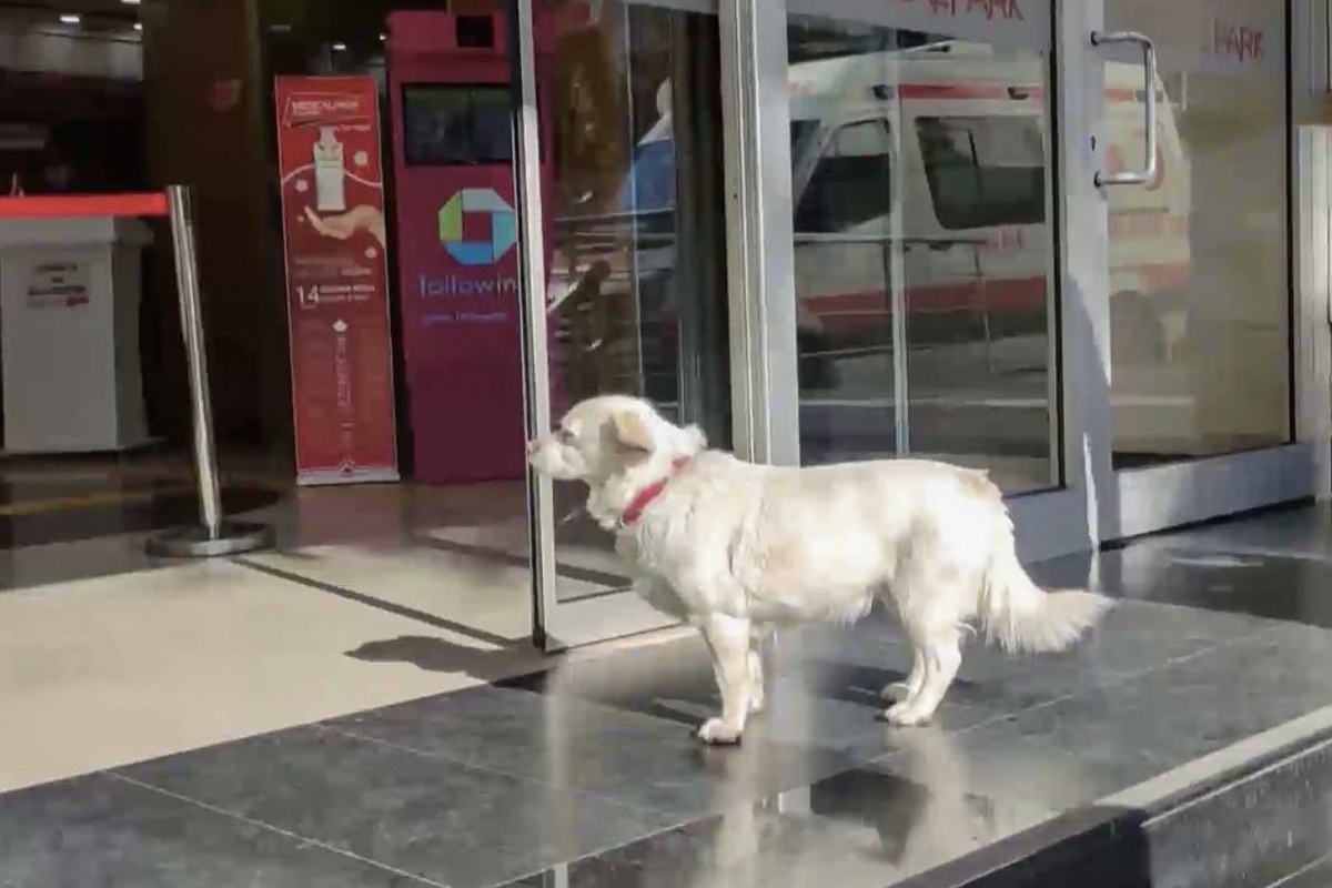 boncuk ospedale