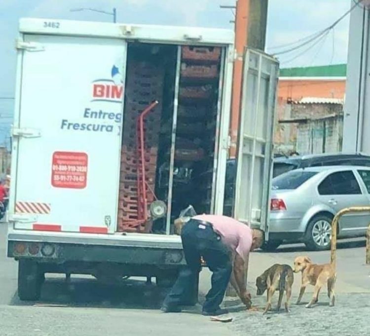 Solidarietà verso i cuccioli di strada