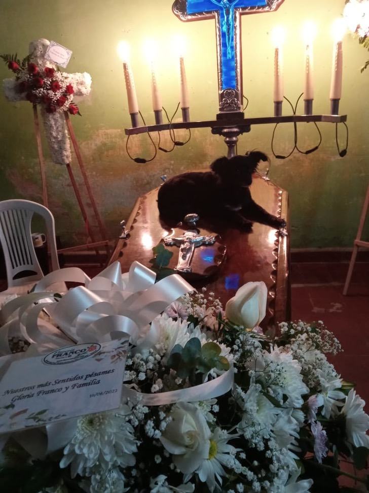 Funerale del padrone del cucciolo