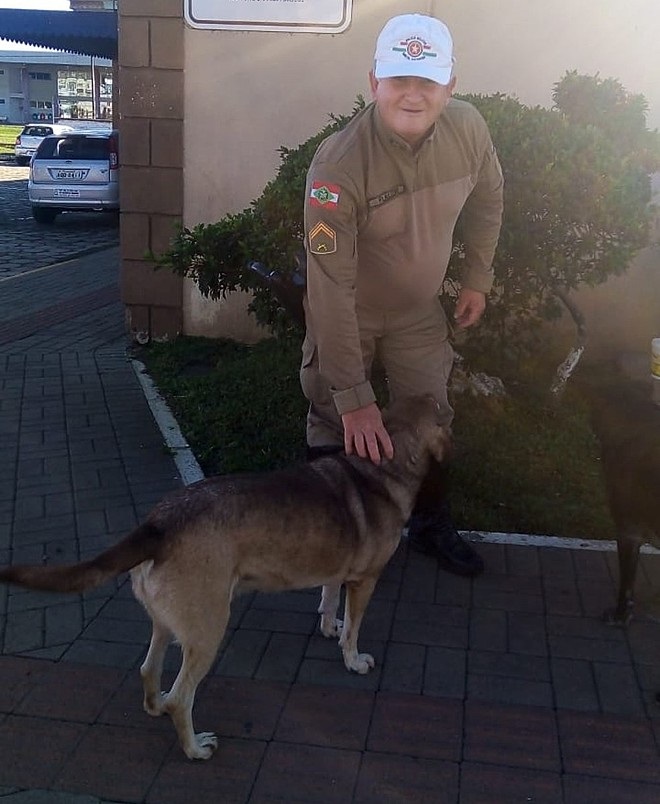 Cane e poliziotto