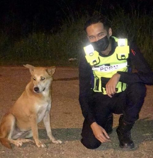 Cucciolo con l'agente