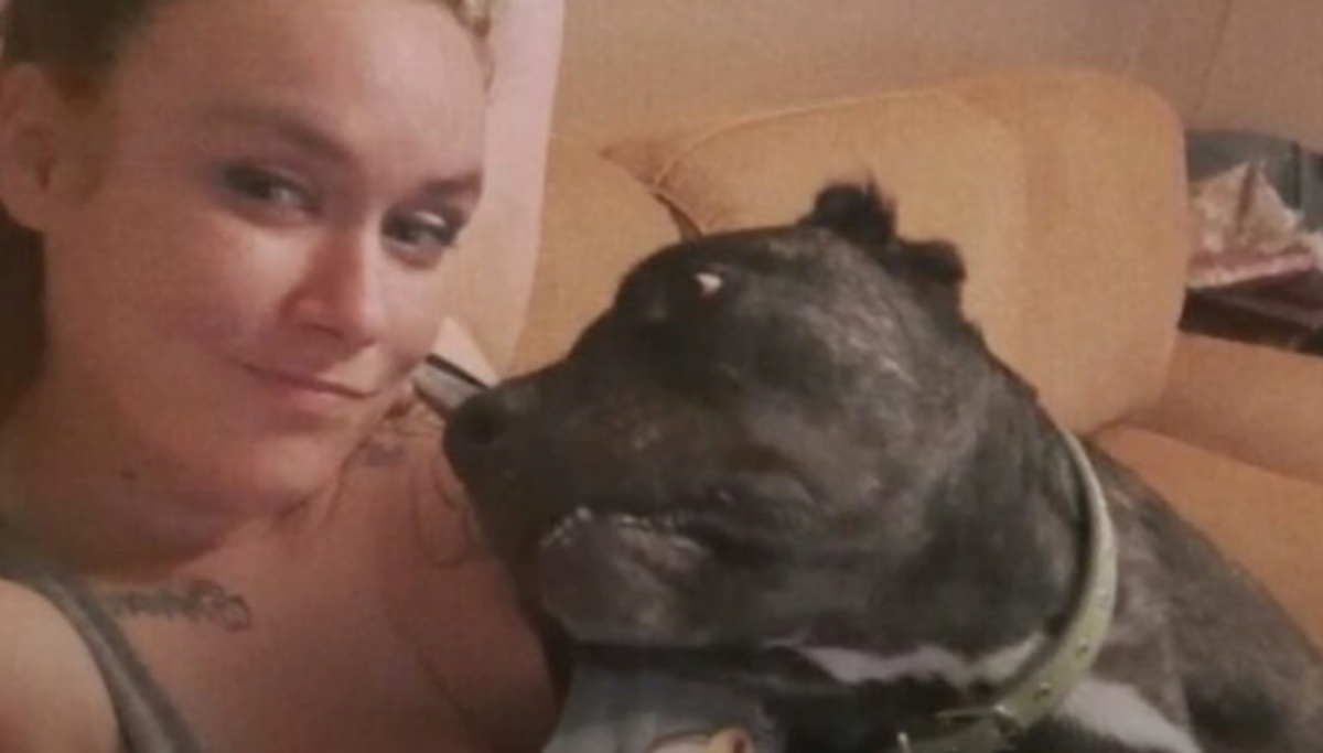 Cane perfettamente sano subisce danni cerebrali fatali dopo una visita veterinaria di routine: la storia di Draco