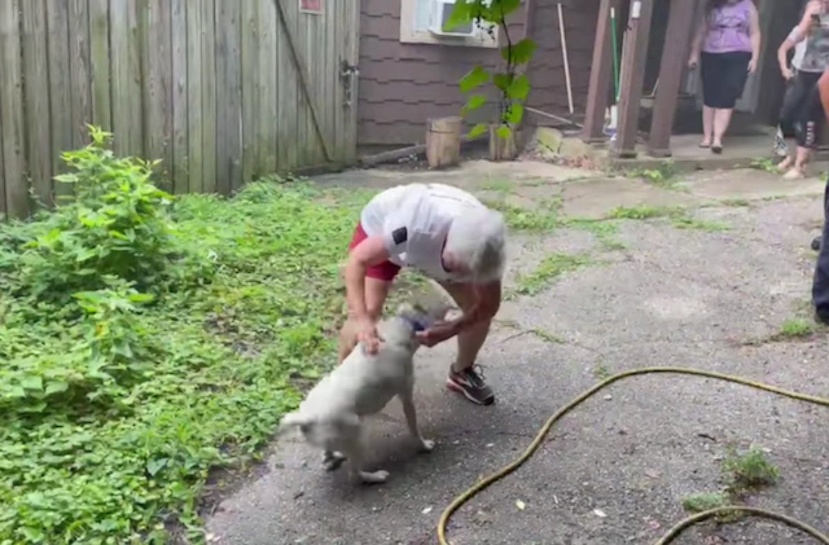 Il salvataggio del cane Gertie