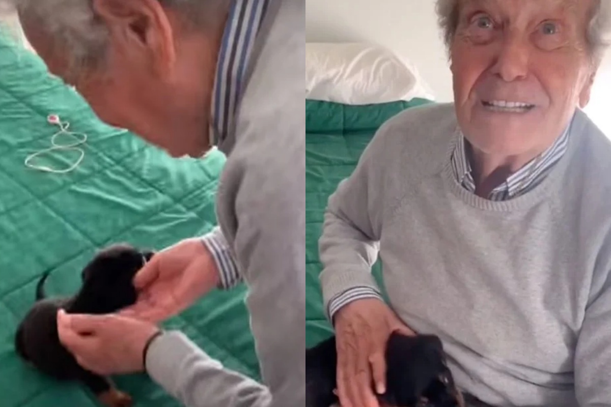 Amore a prima vista tra un nonnino e la cagnolina Kalma