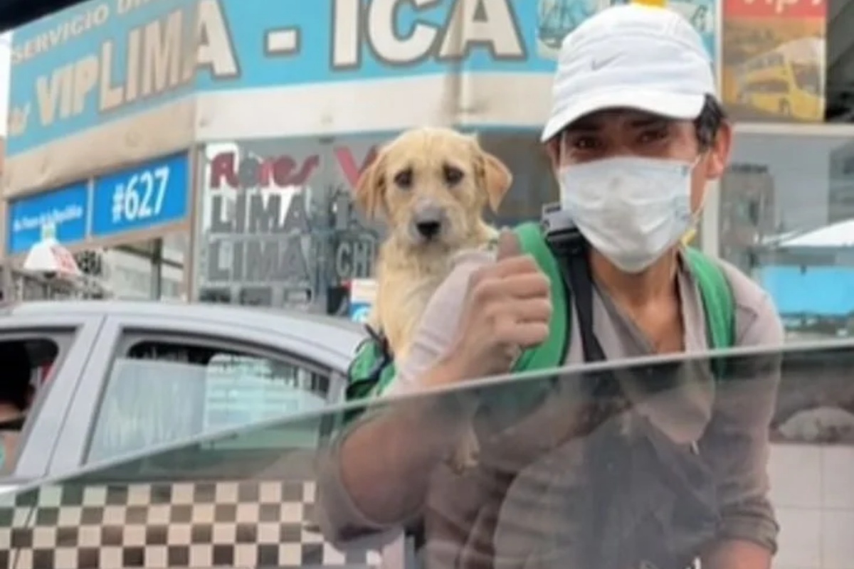 La storia di un lavavetri che lavora tutto il giorno portando il suo cagnolino sulle spalle