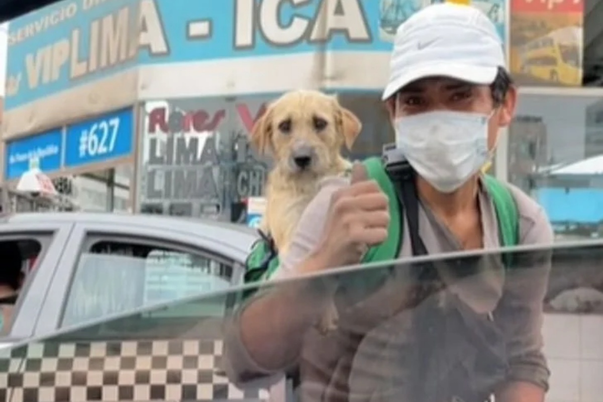 Lavavetri porta con se a lavoro il suo cucciolo