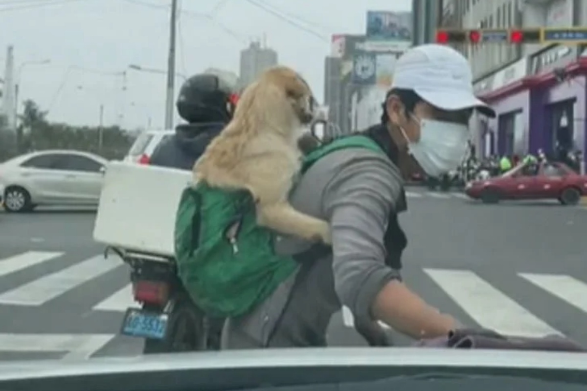 Lavavetri porta con se a lavoro il suo cucciolo