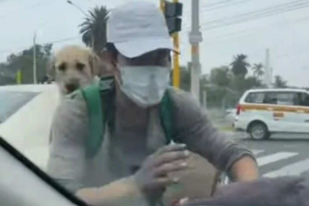 Lavavetri porta con se a lavoro il suo cucciolo