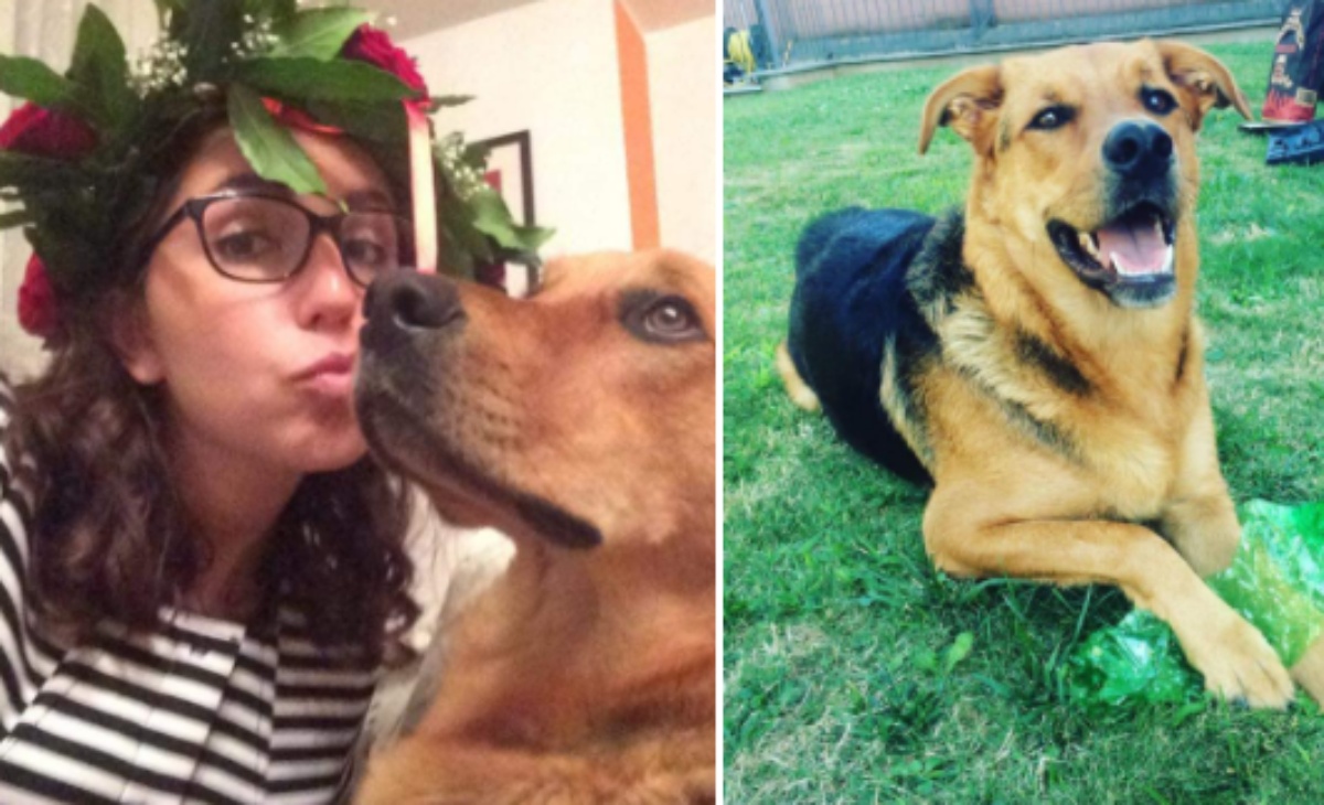 Rabbia a Milano, il cane Margot morto di overdose: uno spacciatore ha lanciato un panetto di hascisc nel suo giardino