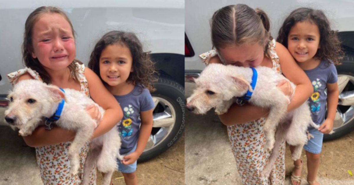 Piccola proprietaria non trattiene le lacrime quando il cagnolino Max torna tra le sue braccia