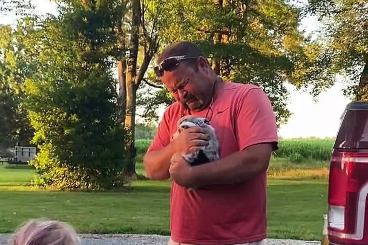 L’emozionante incontro tra Boone e il suo nuovo amico umano: l’uomo non è riuscito a trattenere le lacrime