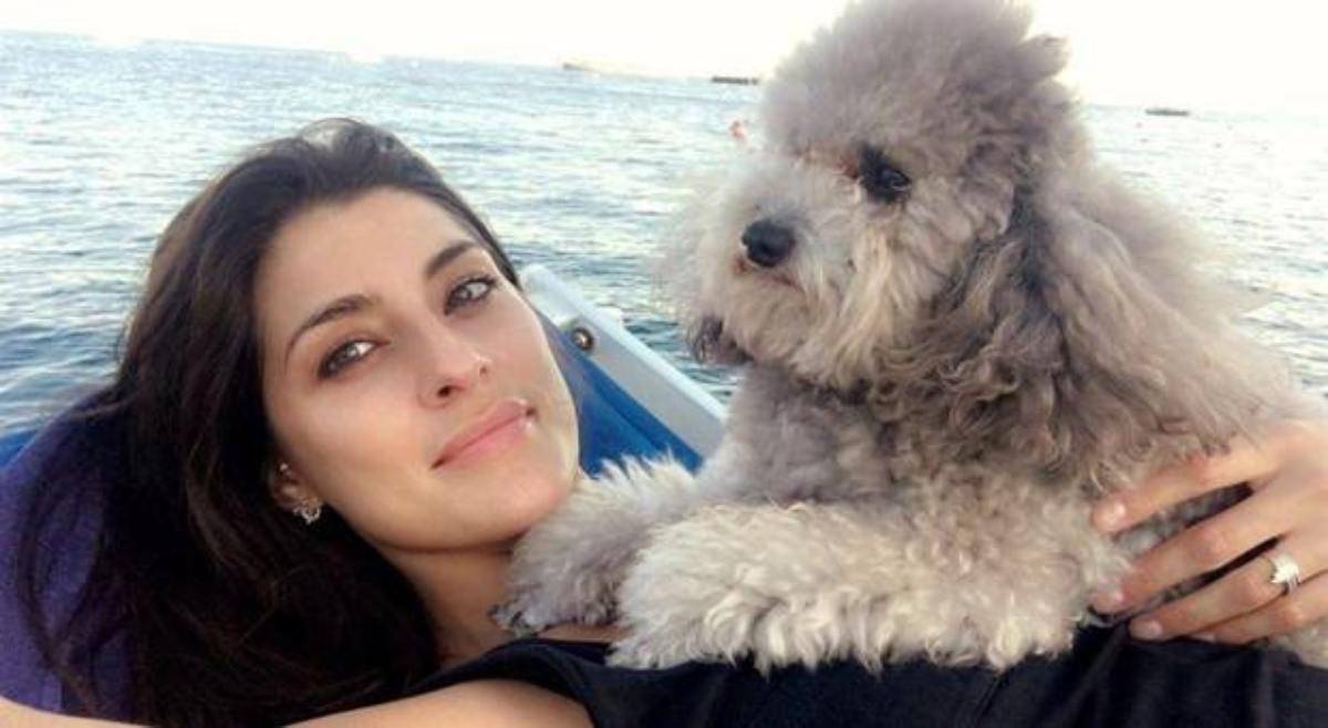 cane di Elisa Isoardi