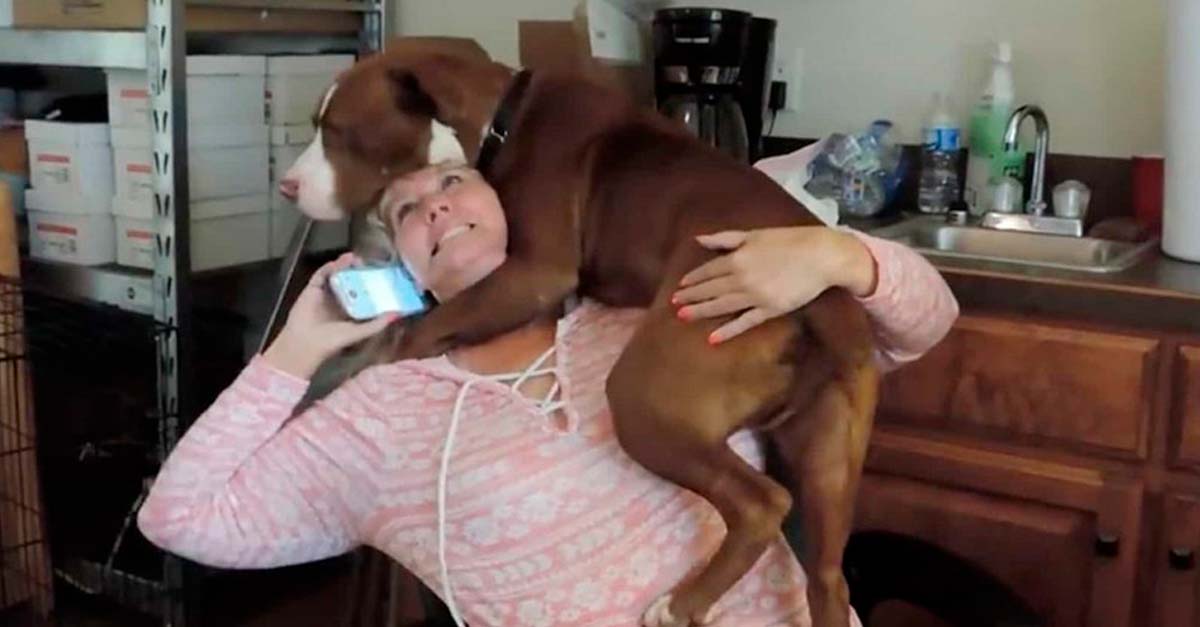 Cucciolo abbraccia la donna