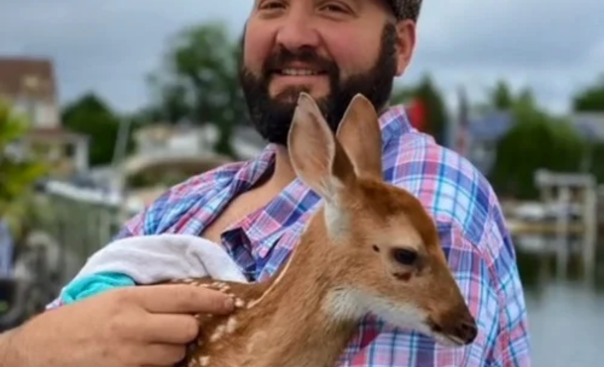 Il salvataggio del cucciolo di cervo 