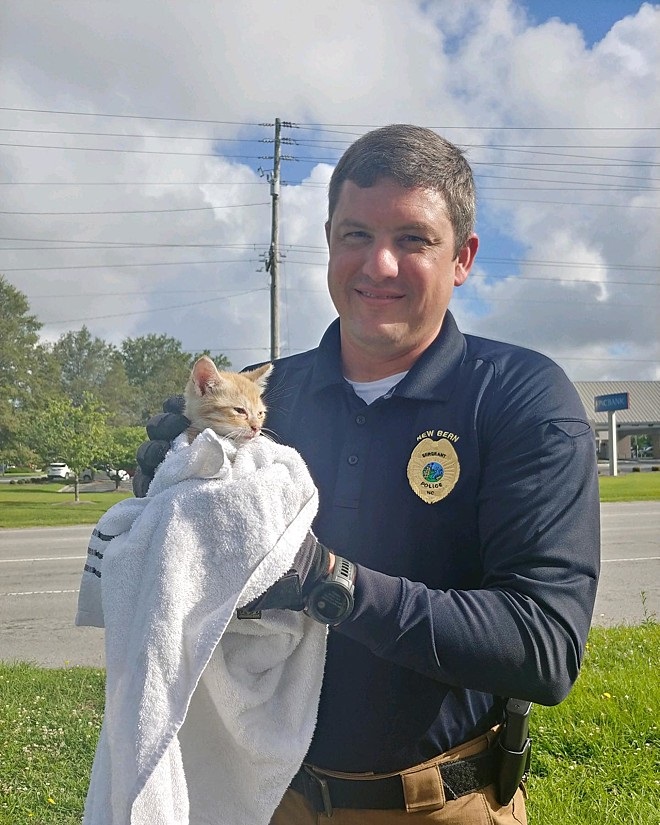 Polizia e gatto salvato