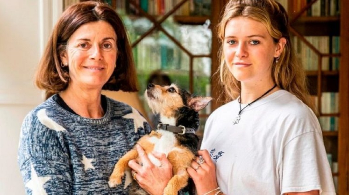 Il cane rubato dal suo cortile torna dai suoi proprietari 11 anni dopo