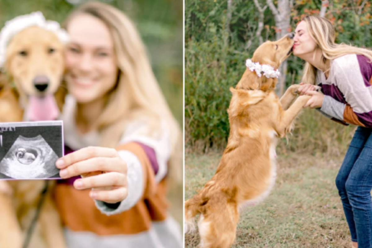 Il servizio fotografico della piccola Lily Mae, la cagnolina incinta