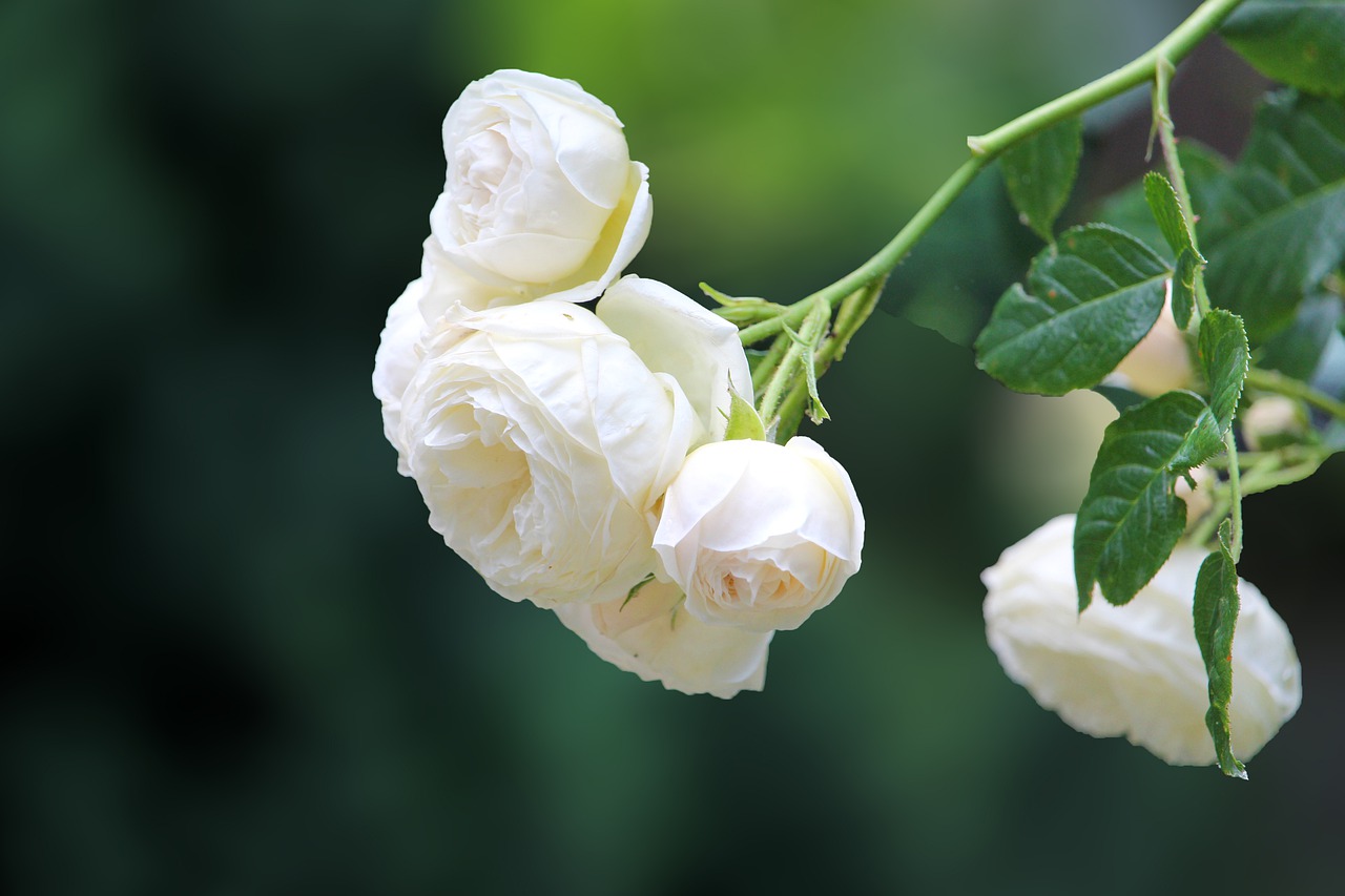 Mamma e figlia trovate morte