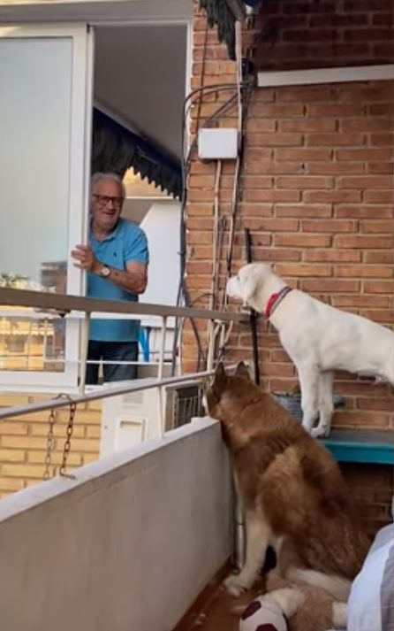 Max prepara con cura la colazione