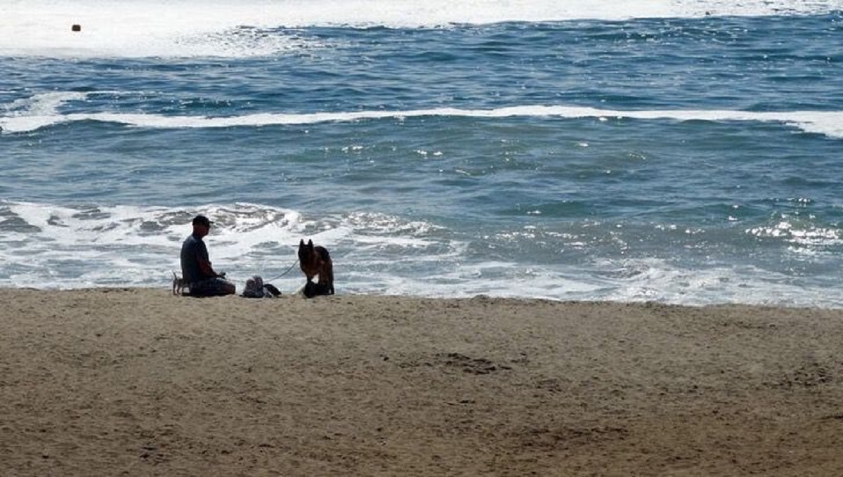Uomo salva un cucciolo in mare, ma non riesce a sopravvivere