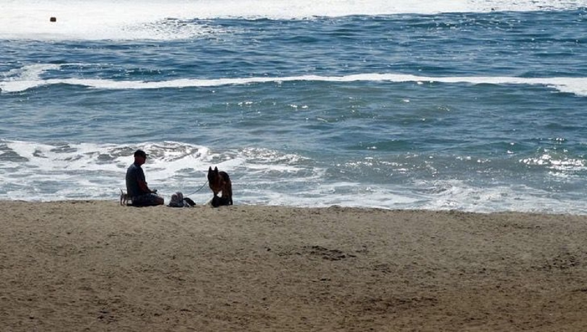 Uomo salva un cucciolo in mare