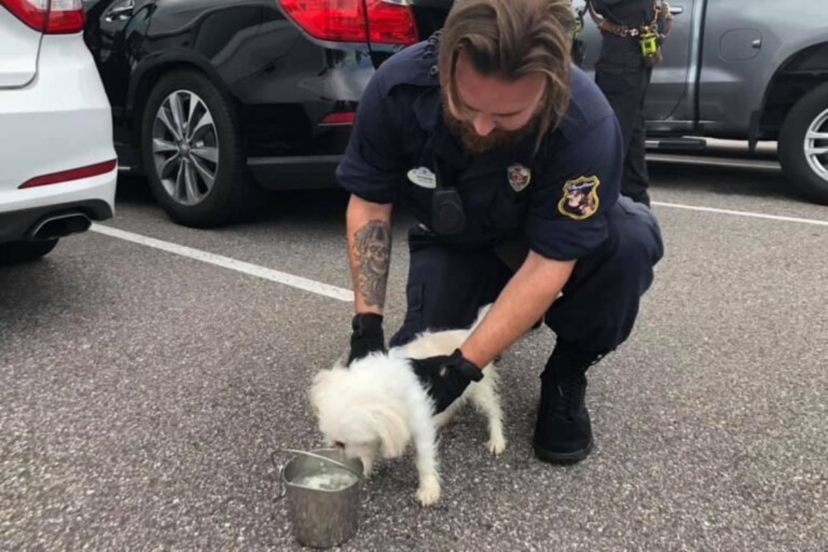 poliziotti salvano un cucciolo chiuso in auto rovente