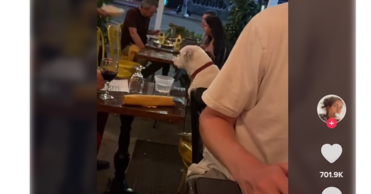 Gemma Colòn vede un cane a cena con il suo papà