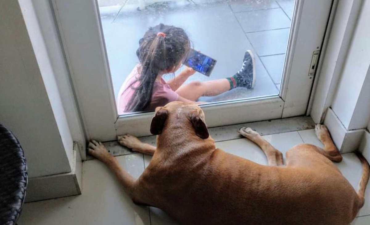 Shetain e il meraviglioso momento con una bambina che non conosceva