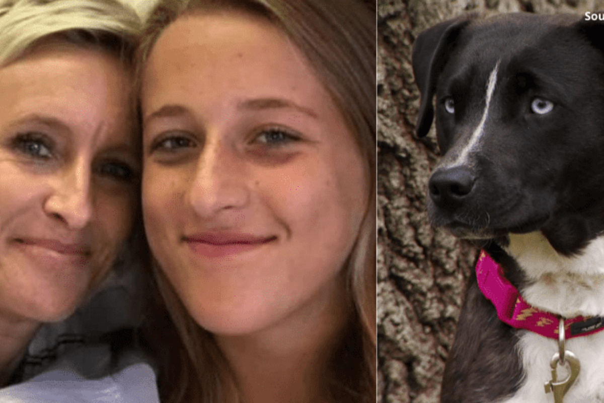 Mamma adotta Annie, la cagnolina abbandonata, ma poco dopo scopre che è affetta dalla stessa condizione della figlia