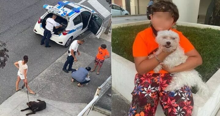 bambino di 10 anni salva un cane a Lignano