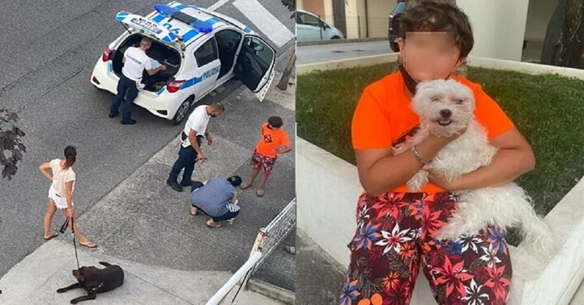 Bambino di 10 anni salva un cane in strada a Lignano