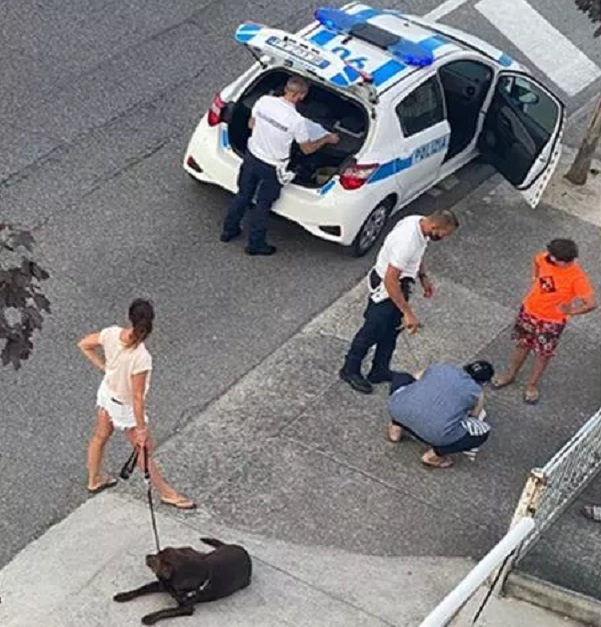 Salvataggio di un maltese