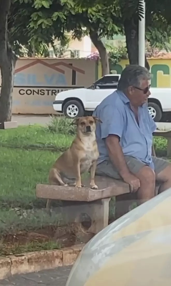 Il cane e l'uomo
