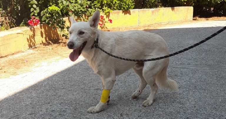 Passeggiata per Paraflù