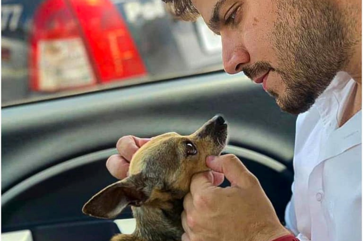 La foto del cane randagio cieco 