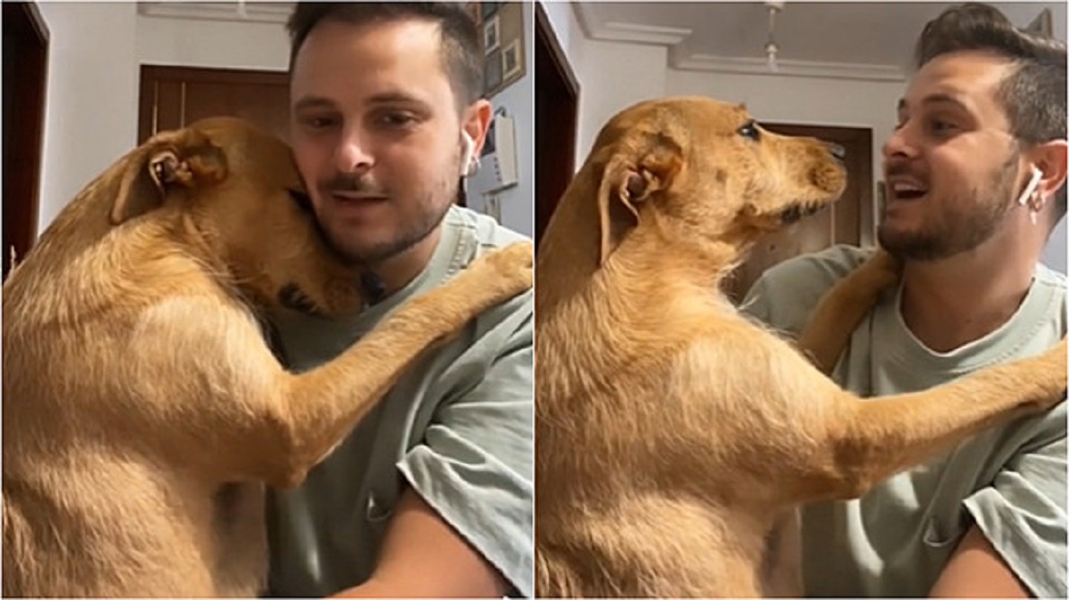 Cucciolo abbraccia il proprietario