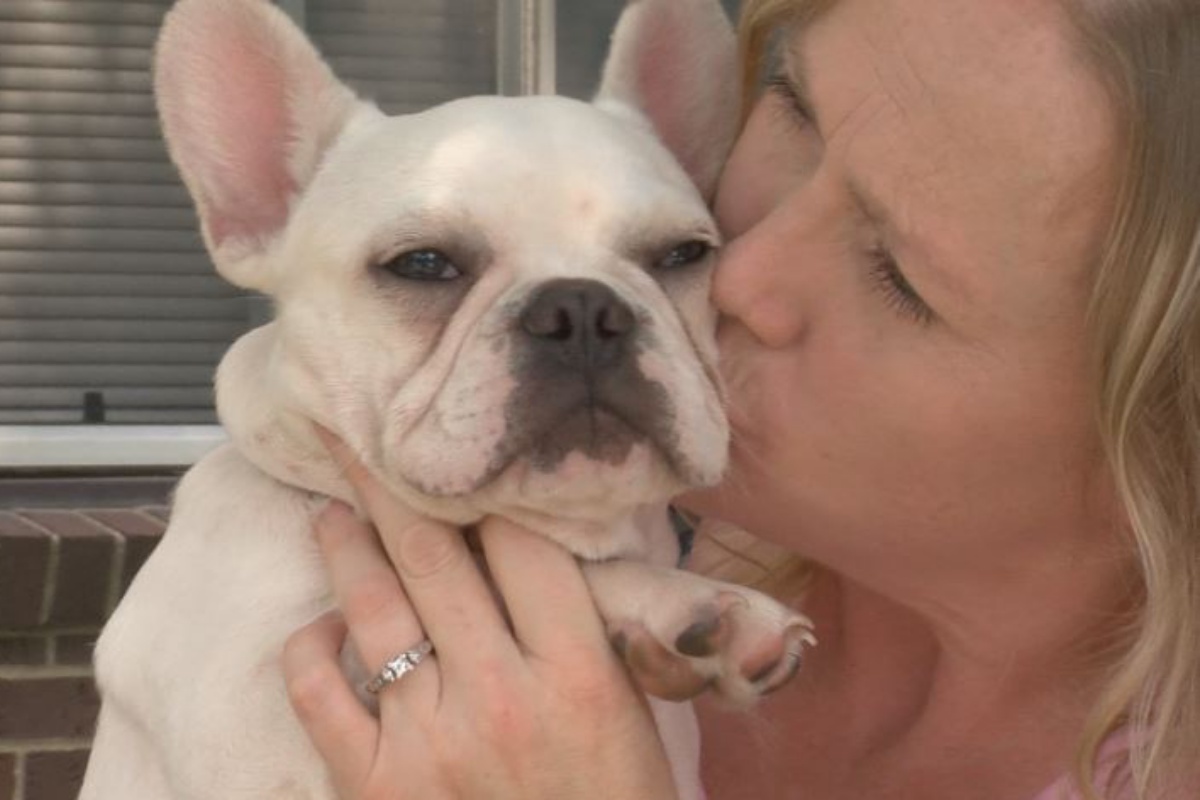 Il drammatico furto del piccolo Sprinkles, il cane da terapia che aiuta i 3 fratelli autistici