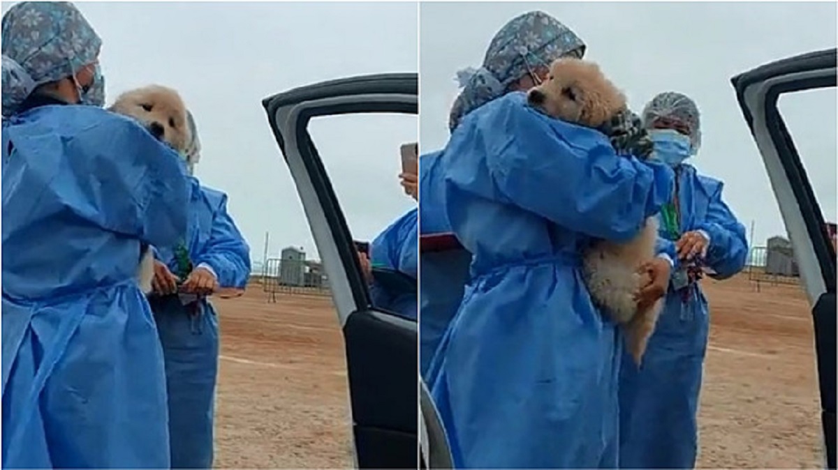 dog with the owner to get the vaccine