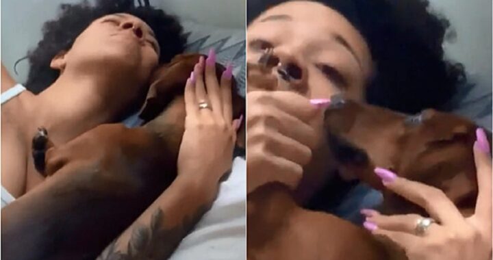 Ragazza coccola il cane sul letto