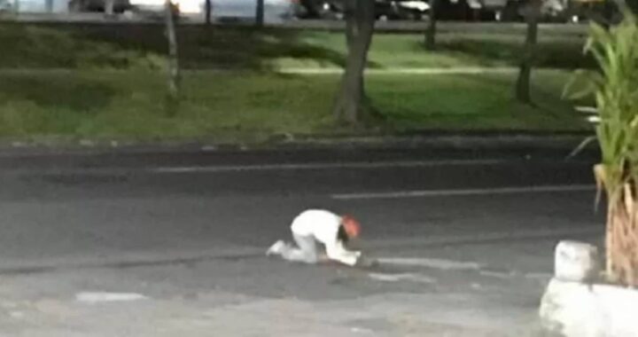 senzatetto e cane